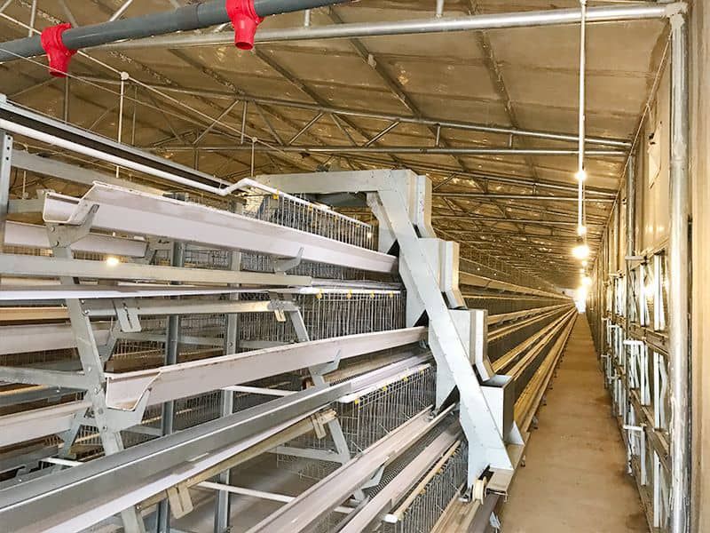 階梯式自動化養殖設備